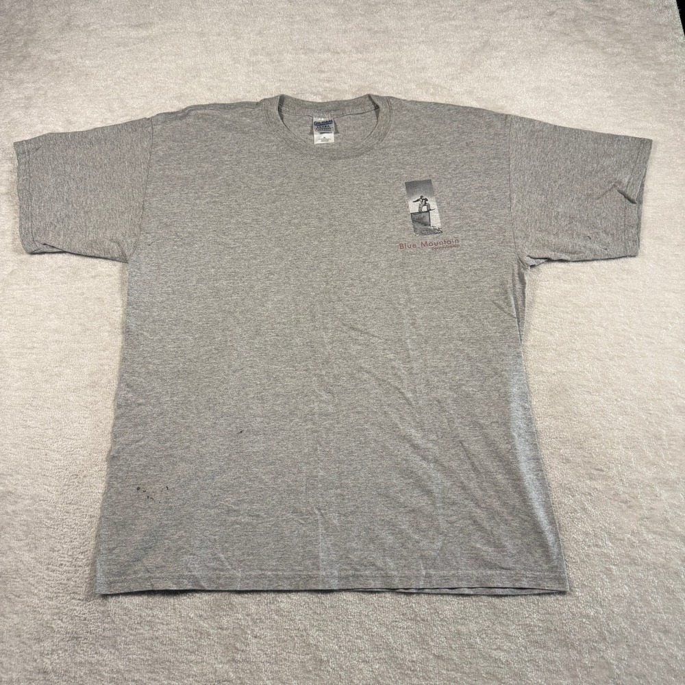 Gildan T-Shirt Mens XL Gray Blue Mountain Pennsylvania Heavy Metal Snowboarding